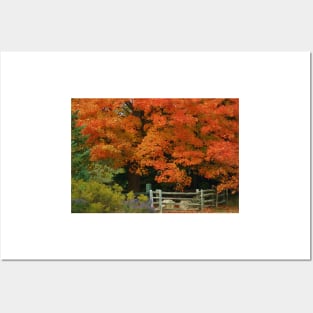 Autumn Glory Posters and Art